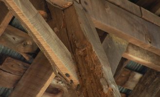 termite-damaged-wood